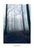 Tågen i Skoven